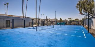 Rise Biltmore Gallery 60