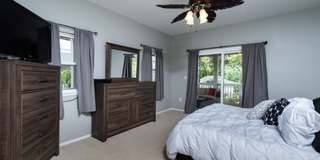 Coconut Plantation Gallery 13