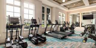 Hudson Carolina Forest Gallery 23