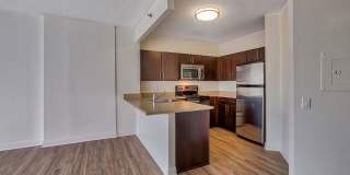 Renaissance Tower Gallery 15