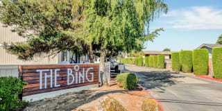 The Bing The Bing Gallery 1