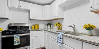 Mayfair Apartments Gallery 11