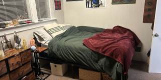 PRELEASE: Spacious 6+ bdrm/2 bath in York Neighborhood Gallery 18
