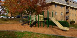 Crystal Springs Gallery 39