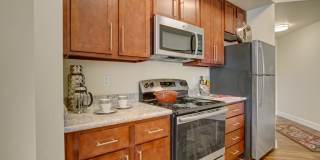 Hills at Sandy Station Gallery 4