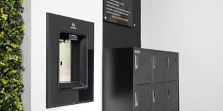 Preston Mill Gallery 22