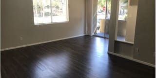 Shadow Glen Gallery 1