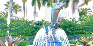 215 NW Flagler Gallery 12
