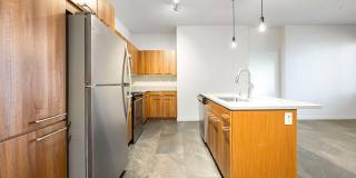 Olympus Alameda Gallery 12