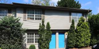 The Carolina Gallery 3