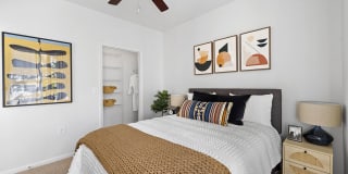 Sofi Lyndhurst Gallery 7