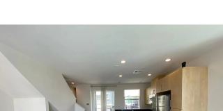 7829 Stylus Gallery 5