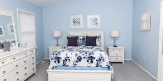 12 Gull Cv Gallery 28