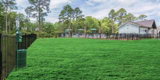 Artisan Living North Beach Gallery 37