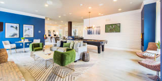 Element Carolina Bay Element Carolina Bay Gallery 17