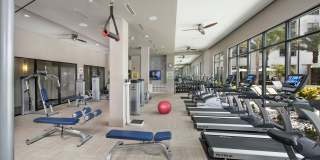 Azul Baldwin Park Gallery 26