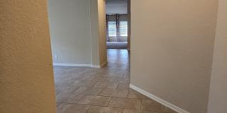 2738 Cinnamon Teal Gallery 4