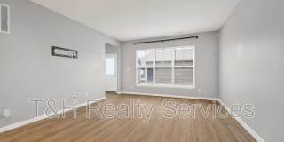 156 Haugh Street Gallery 13