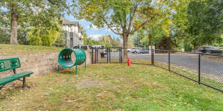 Chaska Place Gallery 47