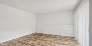 Candela Park Gallery 16