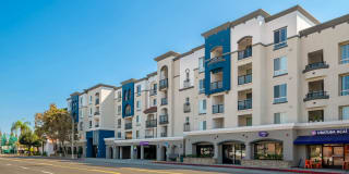 City Pointe Gallery 6