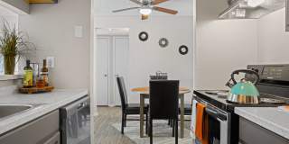 Diamond Lake Gallery 3