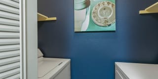 Cottonwood Creek Gallery 6