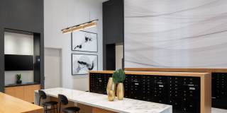 Cascade Link at Douglas Gallery 26