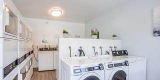 Las Ventanas Gallery 28