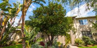 5700 Hazeltine Ave. Gallery 23