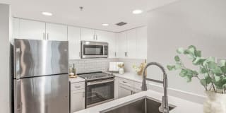 Palm Trace Landings Gallery 77