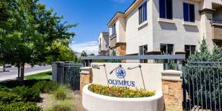 Olympus Alameda Gallery 47