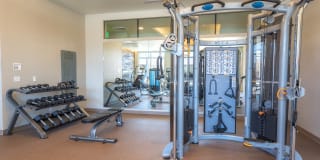 Modera Belmont Gallery 30