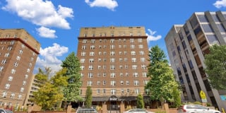 The Novelist Gallery 2