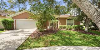 Beautiful 4/2 Westchase Home Gallery 1
