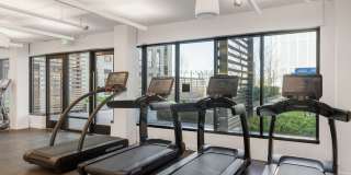 The Edmund Gallery 11