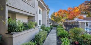 Terra at Portola Park Gallery 34