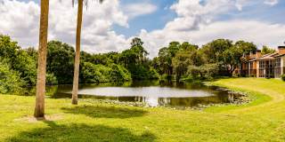 TimberLake Gallery 29