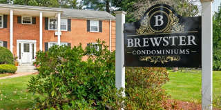 45 Brewster Road Gallery 1