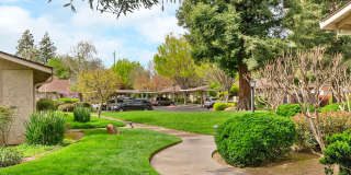 Cedar Springs Gallery 2