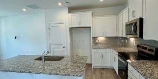 Brand New Townhome in Pringle Town Gallery 5