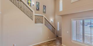 3240 PERUVIAN PASO Drive Gallery 21