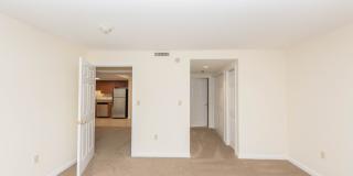 Chestnut Hill East Gallery 27