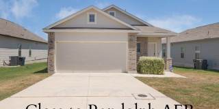 5418 Cicada Gallery 2