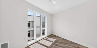 Tanager Gallery 13
