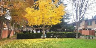 Howe Manor East Gallery 63