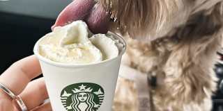 400 Element Gallery 43