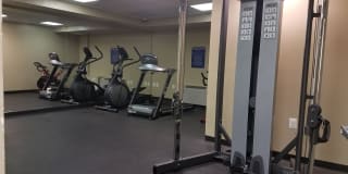 The Milano Gallery 14