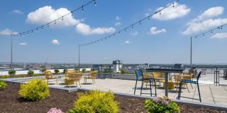 The Square Gallery 14