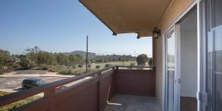 Volterra at La Mesa Gallery 20